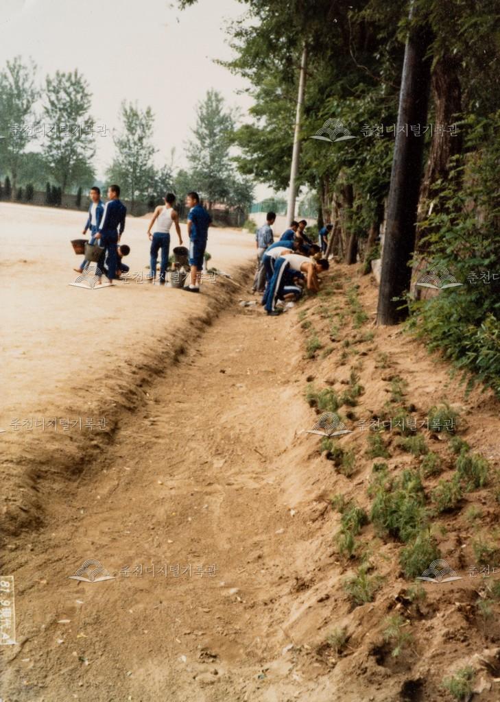 춘성중학교 운동장 옆 화초 심기 이미지