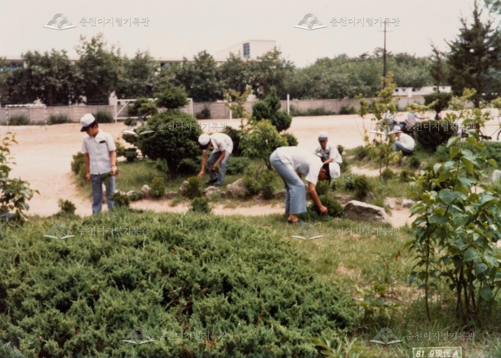 춘성중학교 화단 정리 이미지