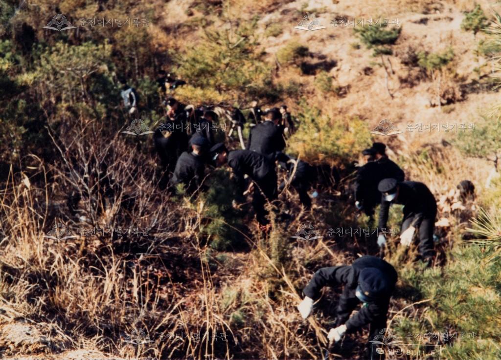 춘성중학교 잡초 제거 이미지