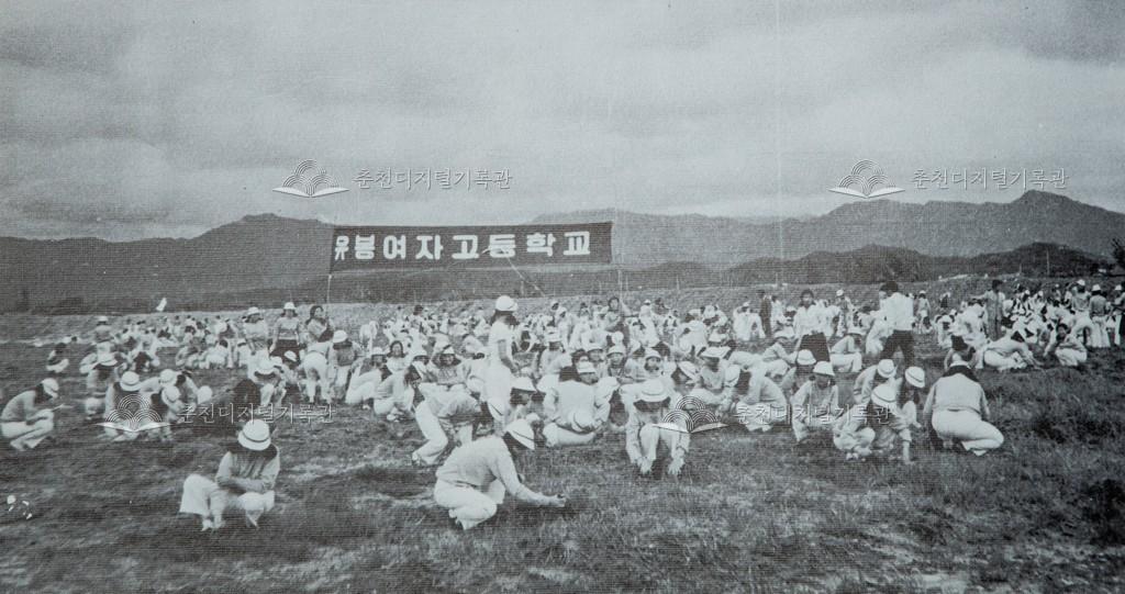 유봉여자고등학교 자연환경 보호 이미지