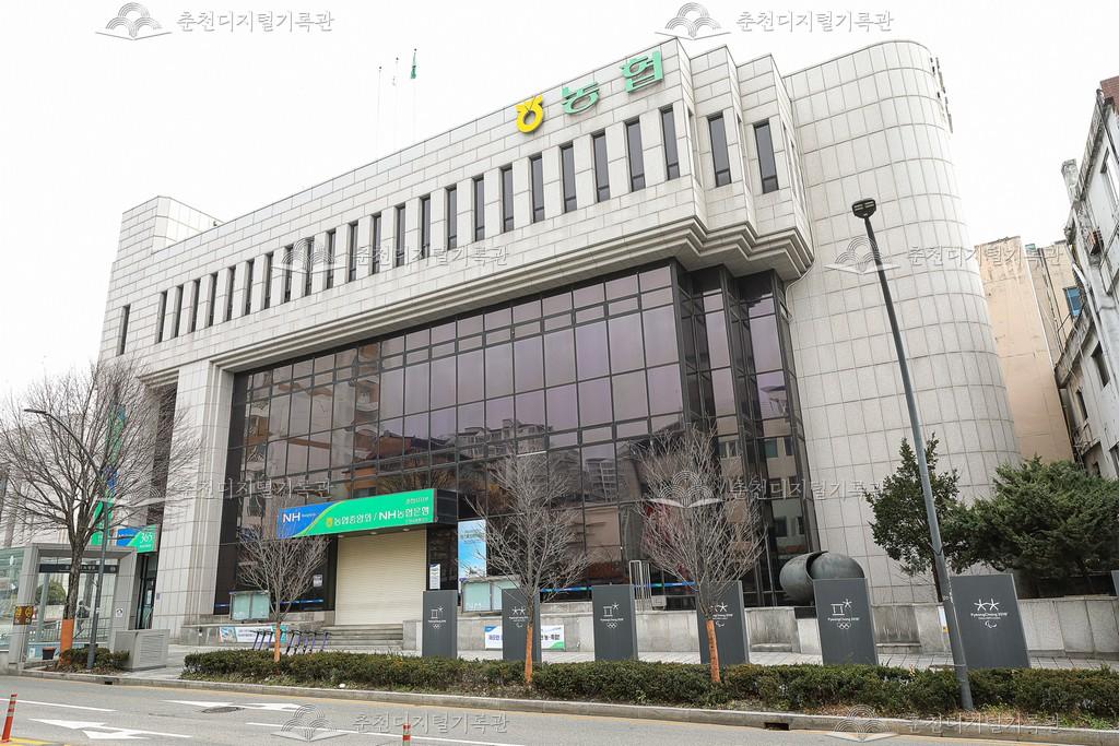 농협은행 춘천시지부 이미지