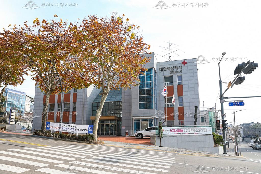 대한적십자사 강원도지사 이미지