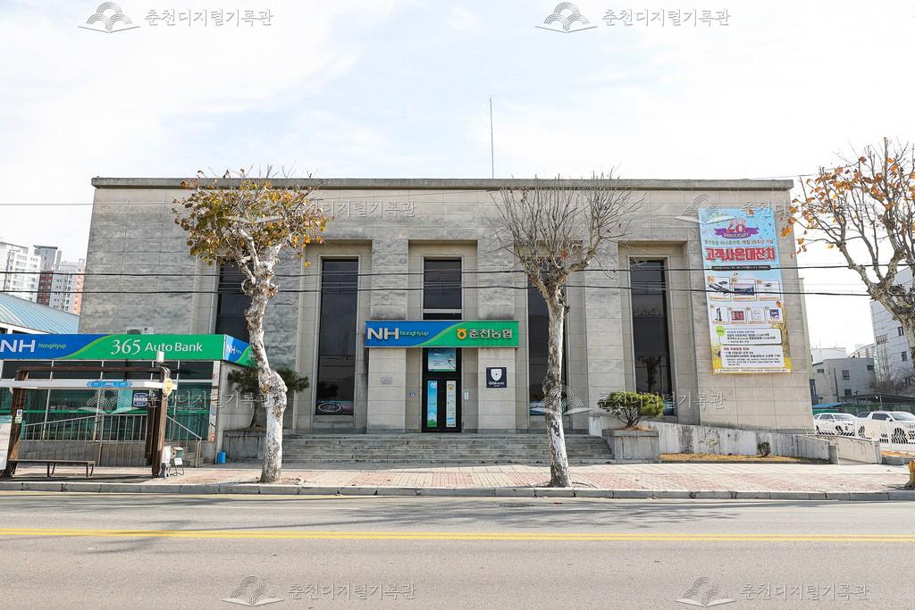 춘천농협 본점 이미지