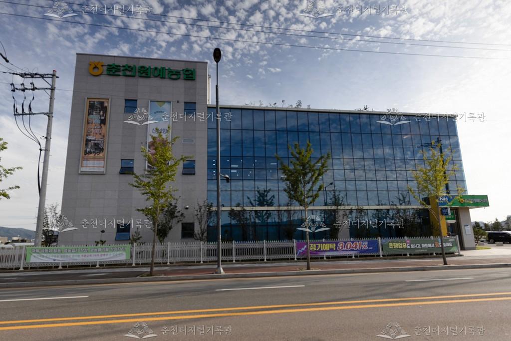 춘천원예농협 본점 이미지