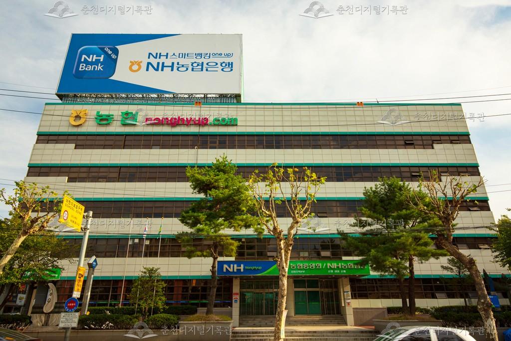 농협중앙회 강원지역본부 이미지