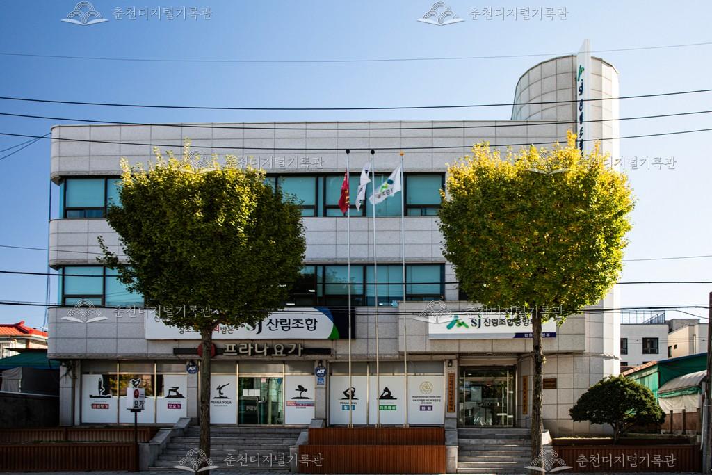 산림조합중앙회 강원지역본부 이미지