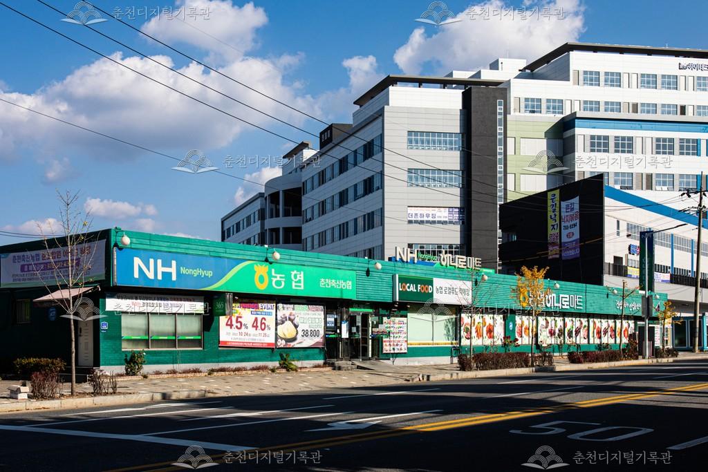 춘천축산농협 본점 이미지