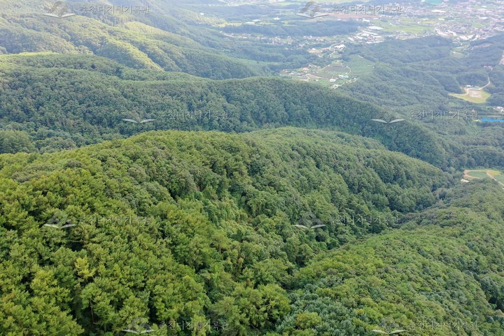 대룡산 전경 이미지