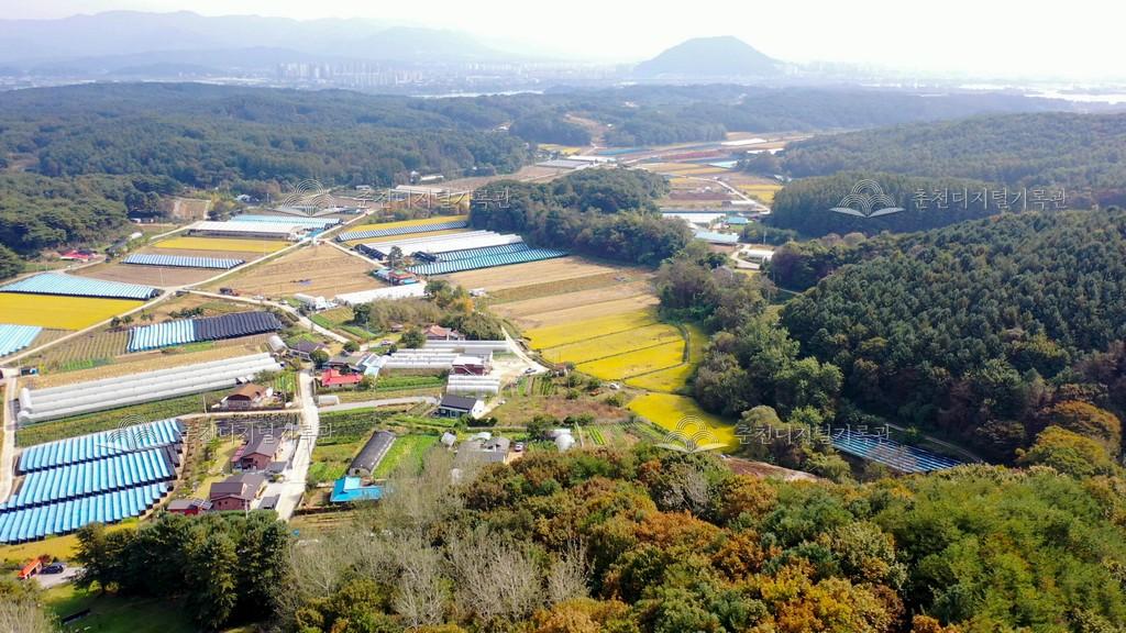 월송리 전경 이미지