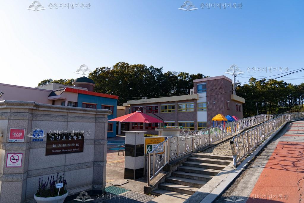 금산초등학교 전경 이미지