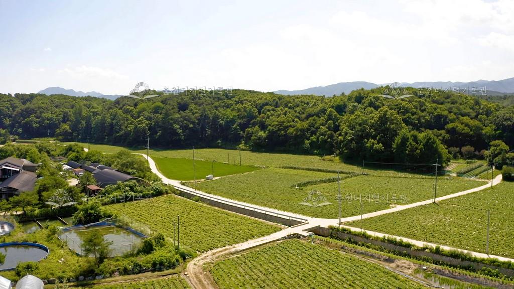 서면 밭 전경 이미지