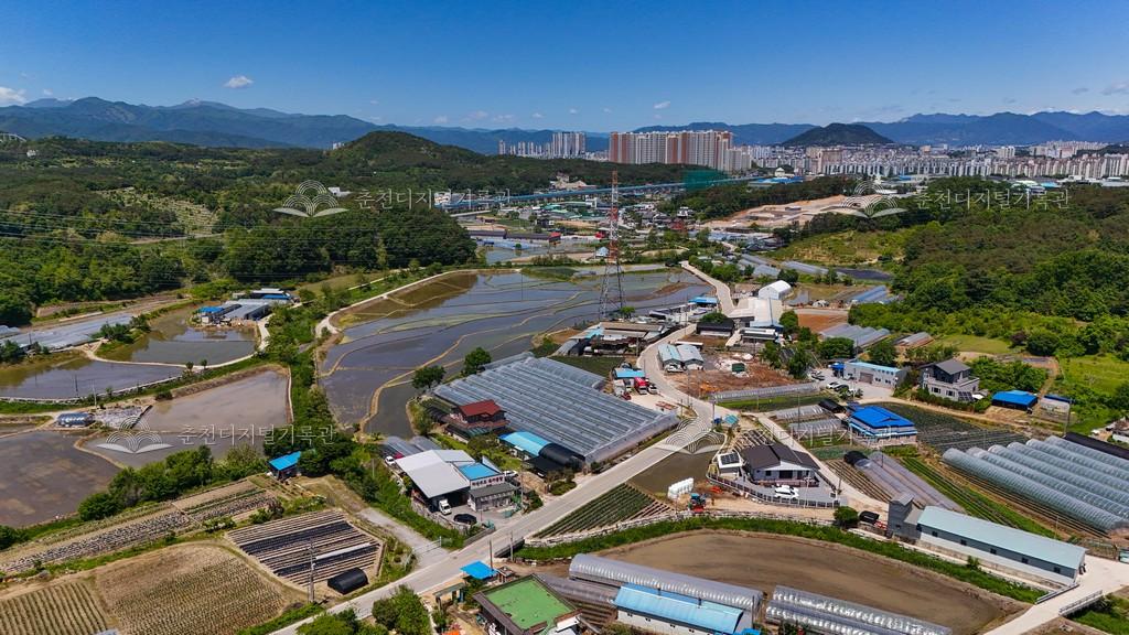 정족리 논 전경 이미지