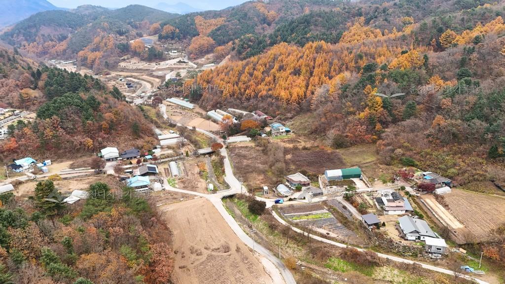 팔미2리 마을전경 이미지