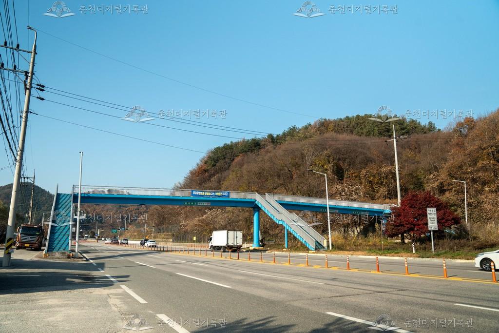 팔미육교와 그 주변 이미지