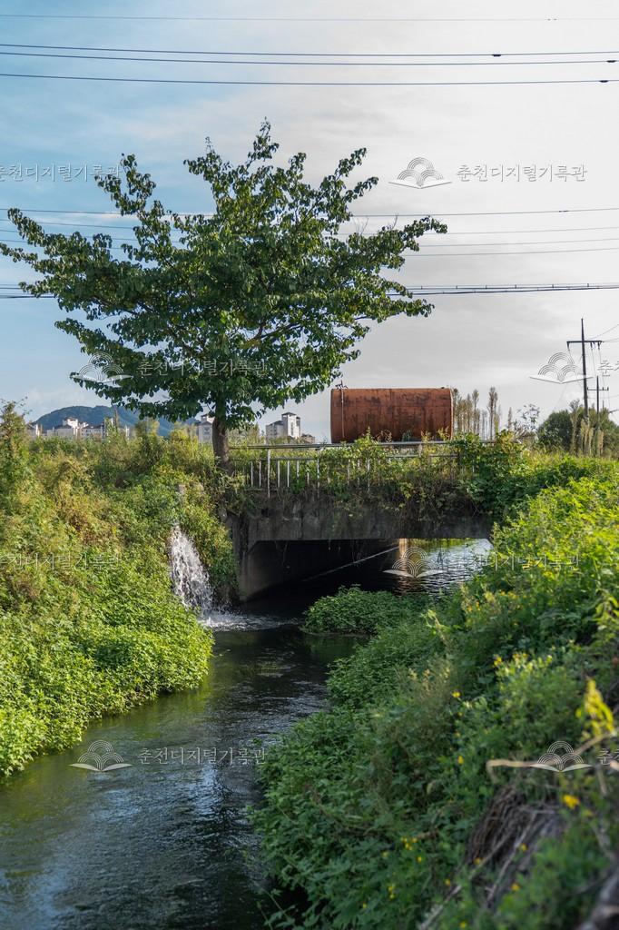 마장천 하류 이미지