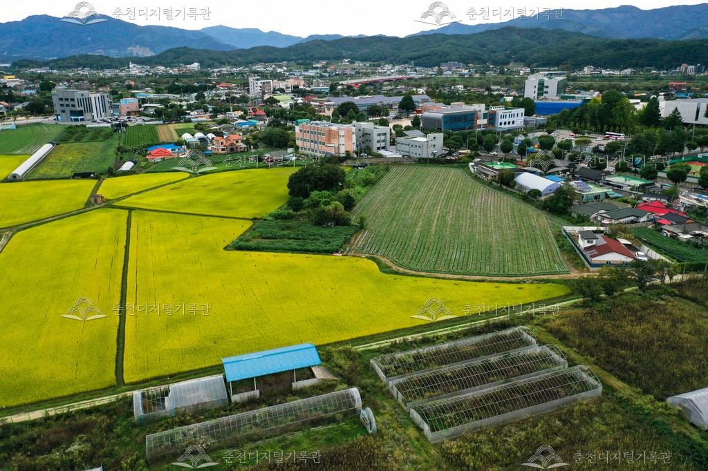 신사우동 근교농업 전경 이미지