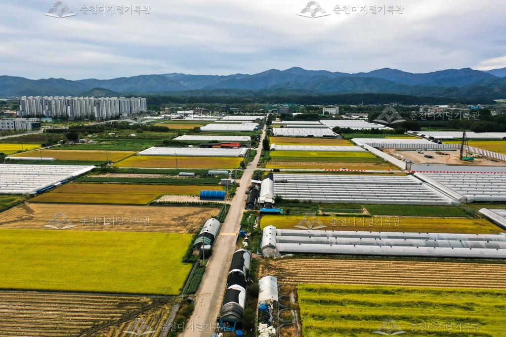 신사우동 시설농업 이미지