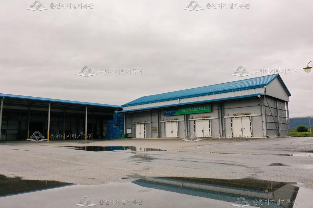 춘천농협 토마토 산지유통센터 이미지