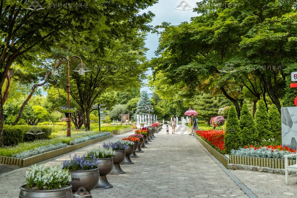 강원특별자치도립화목원 이미지