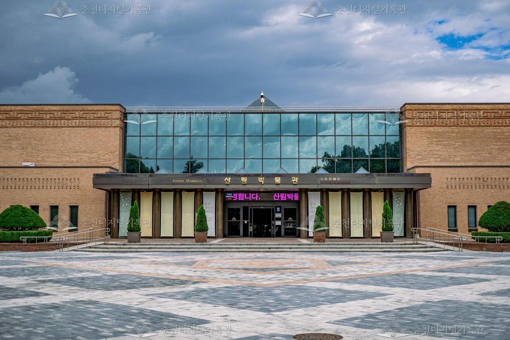 산림박물관 이미지