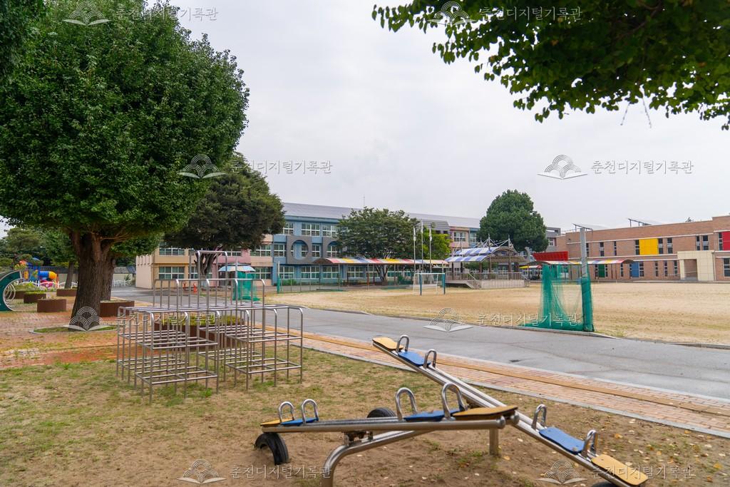 소양초등학교 전경 이미지