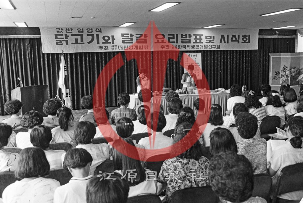 닭고기와 달걀 요리발표 및 시식회 사진 이미지