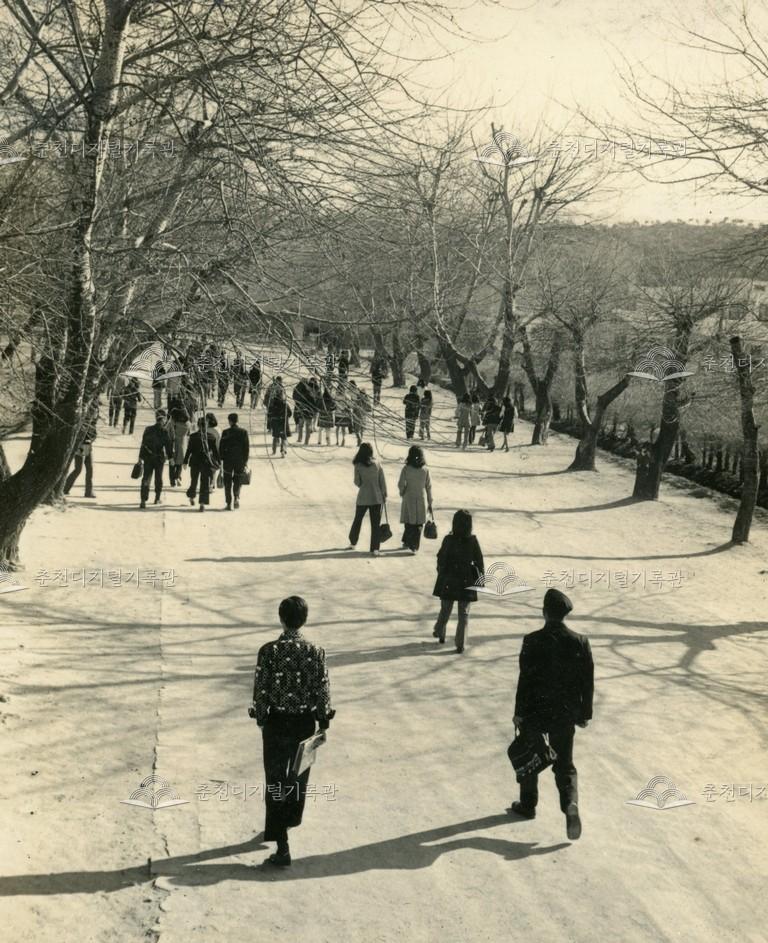 춘천교육대학 정문 진입로 사진 이미지
