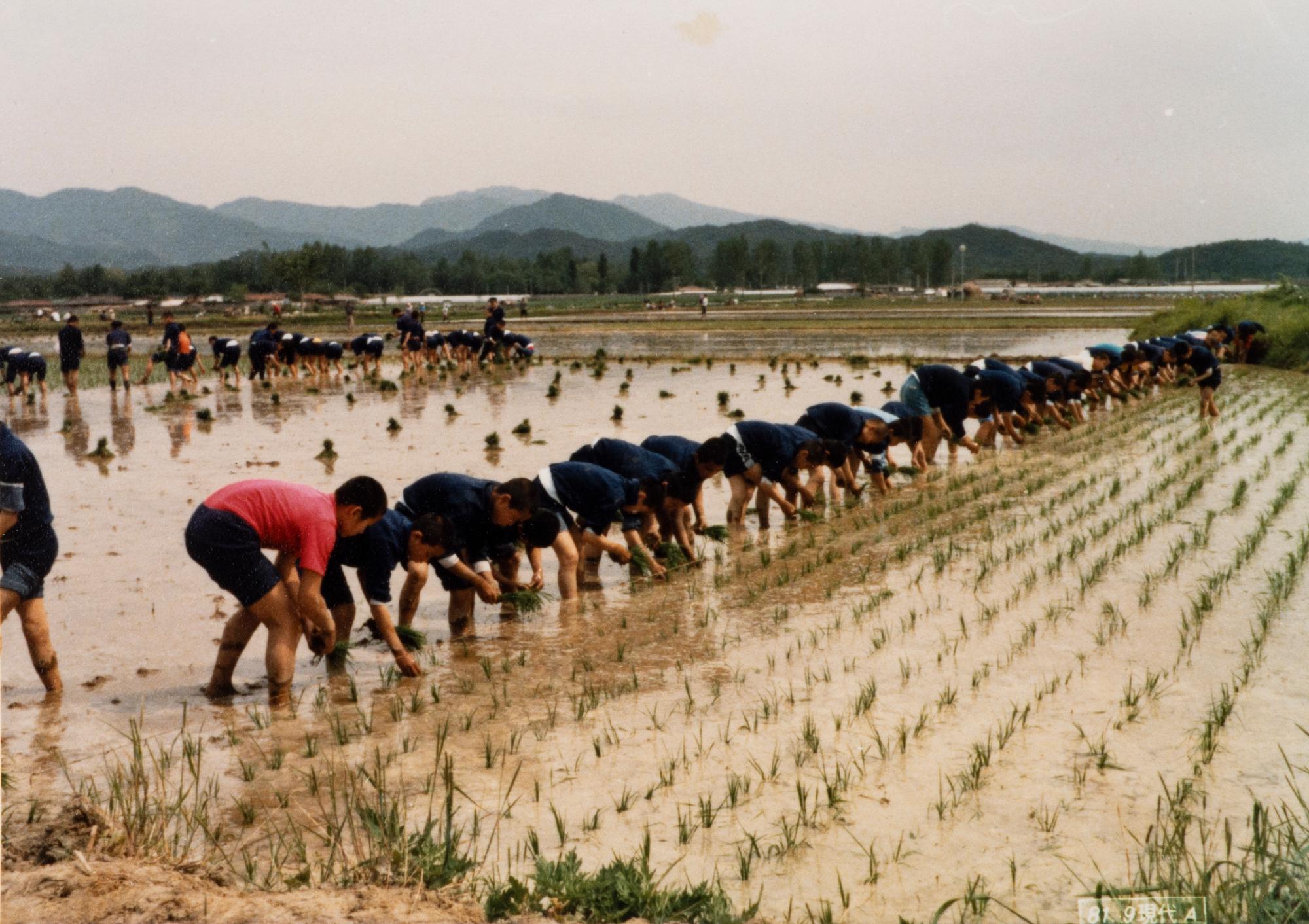 춘천소방서 입구 사진 이미지
