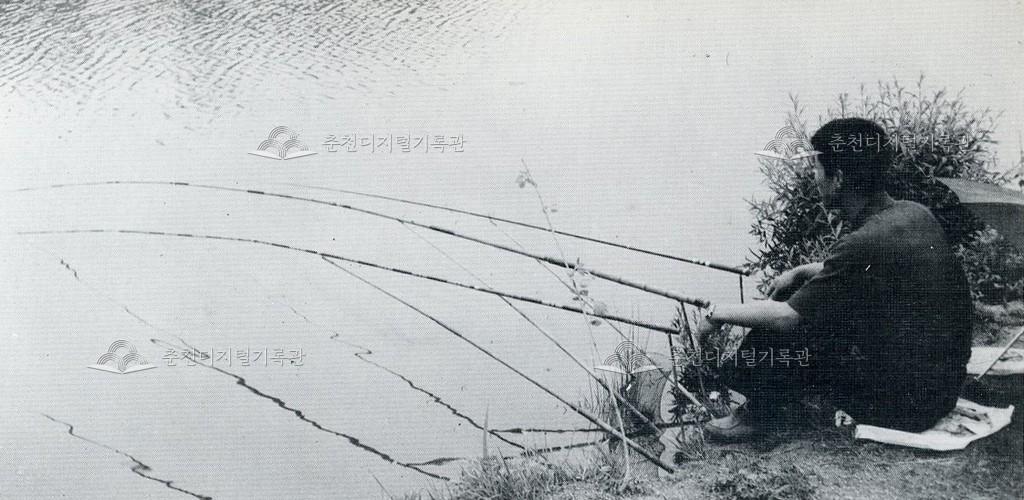 춘천교육대학 낚시 대회 사진 이미지