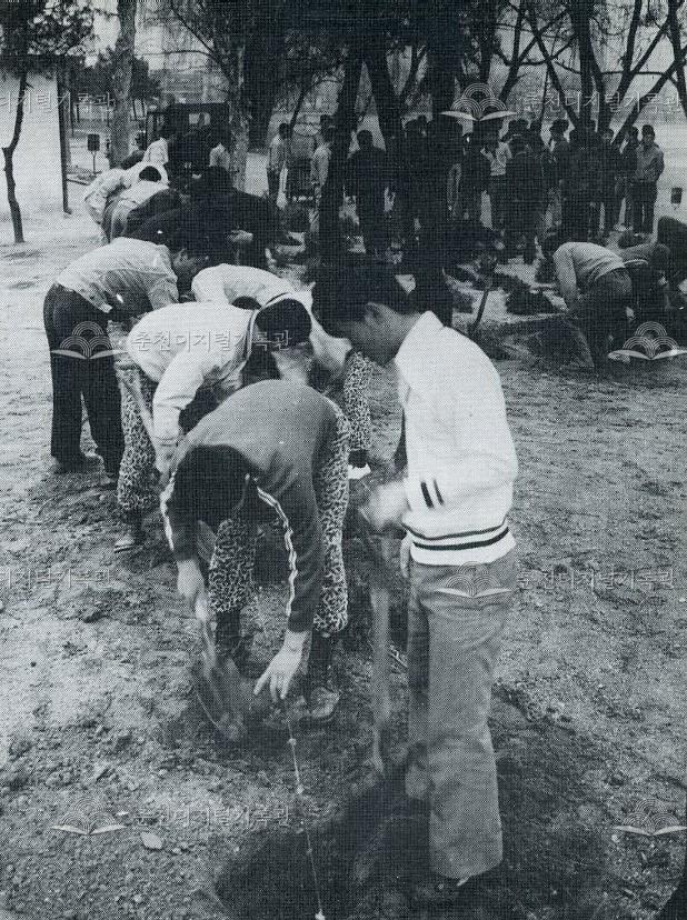 춘천교육대학 식목일 행사 사진 이미지