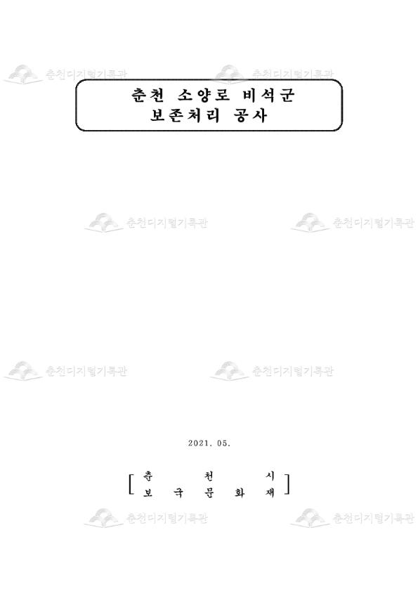 춘천 소양로비석군 보존처리 공사 이미지