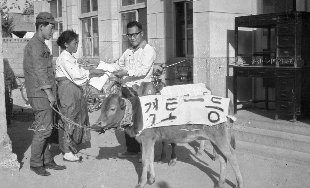 객토 1등 농가시상 이미지