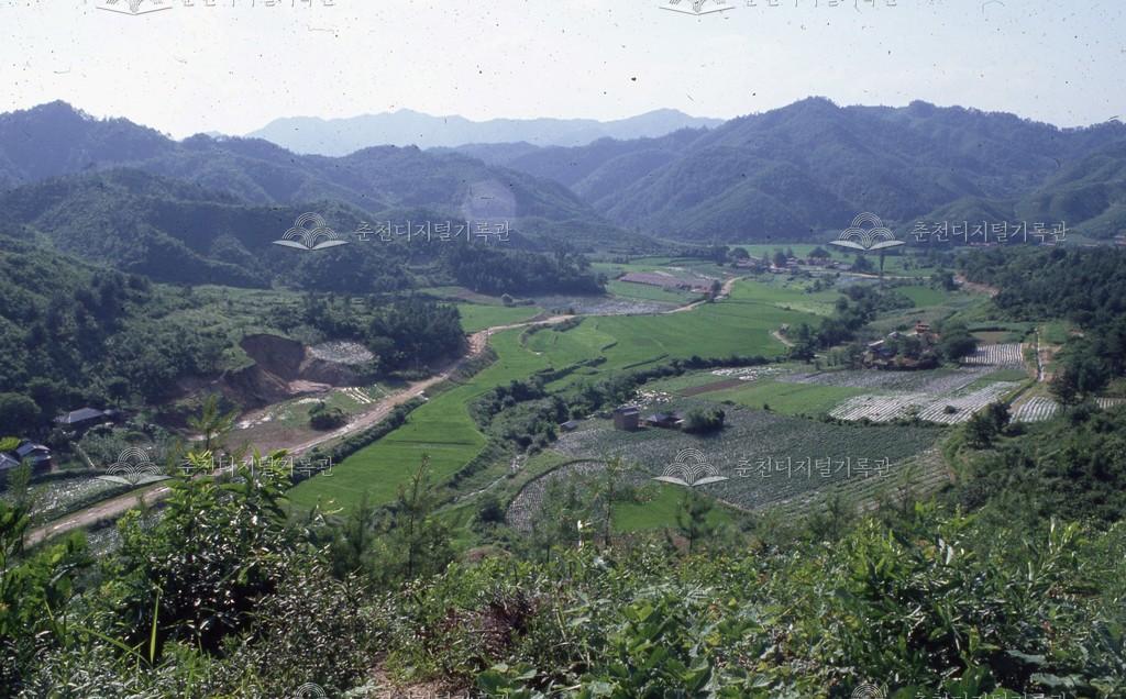 남면 추곡리 마을 모습 이미지