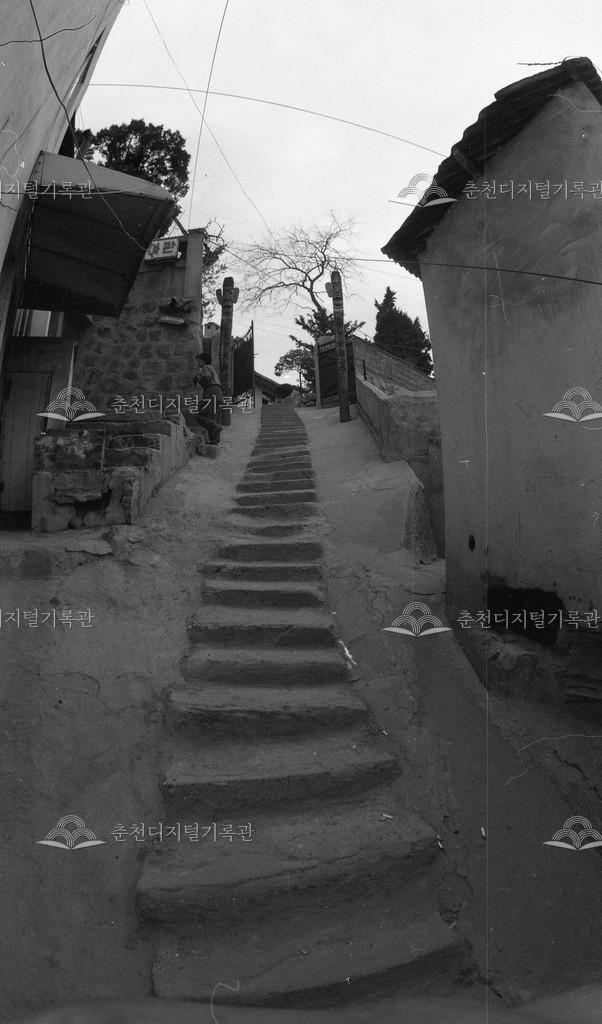 조운동 주택 모습 이미지