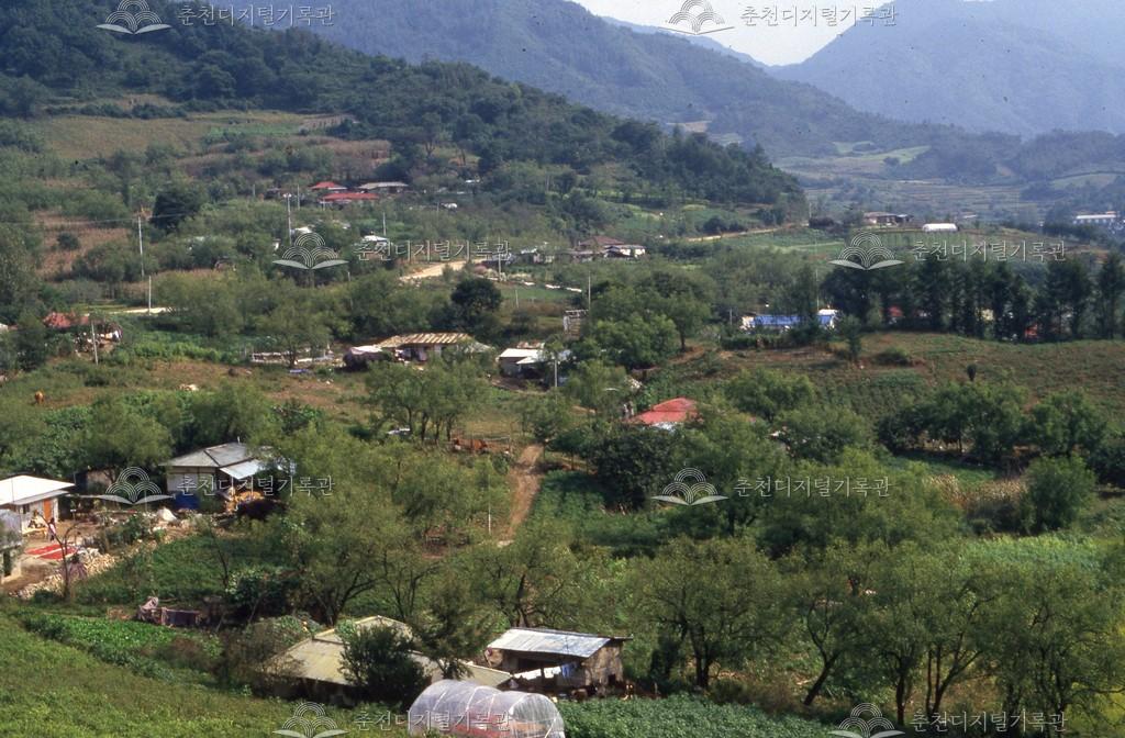 사북면 오탄리 이미지