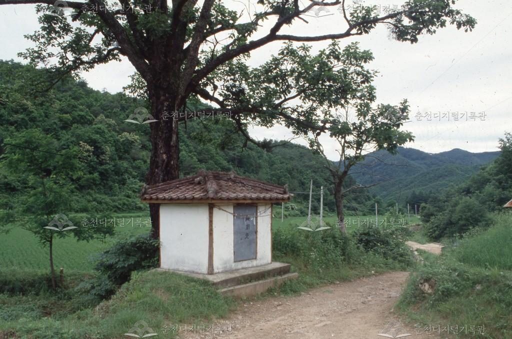 동산면 밭치리 성황목과 성황당 모습 이미지