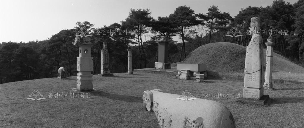 1990년대 민영휘 묘역 이미지