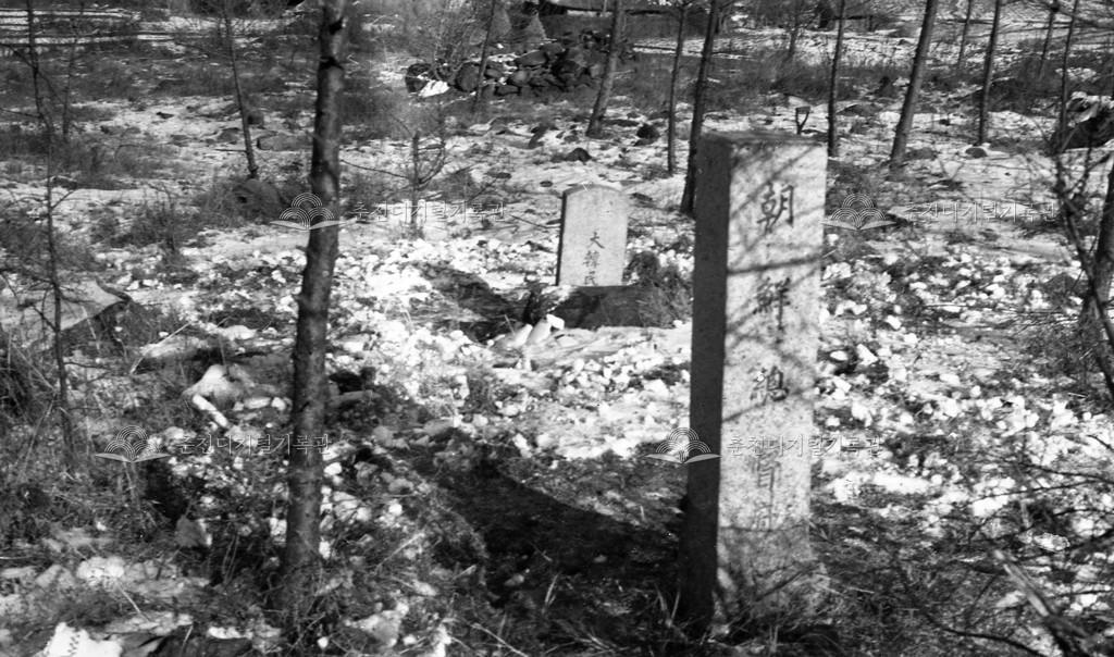 1980년대 북산면 추곡리 장수하늘소 기념비 이미지