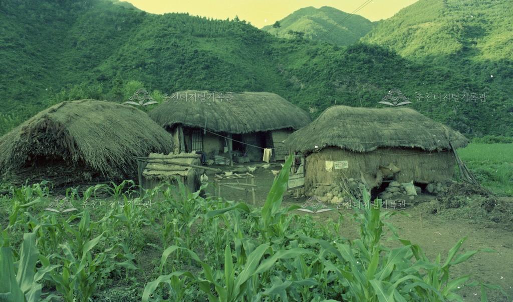 1980년대 사북면 오탄리 초가 이미지