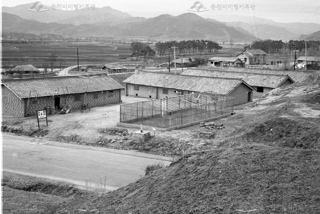 1970년대 올미솔밭 이미지