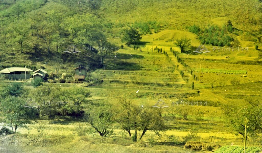 1970년대 의암 류인석 묘역 이미지