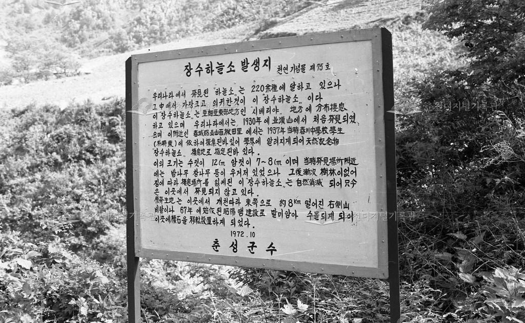 장수하늘소 안내판 이미지