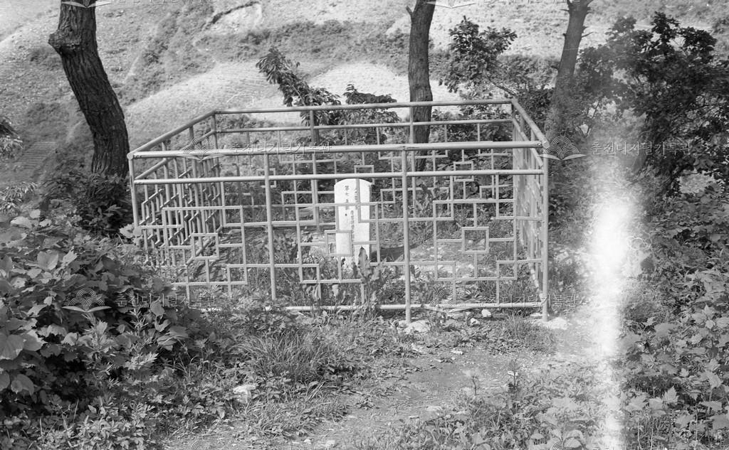 1970년대 장수하늘소 표지석 이미지