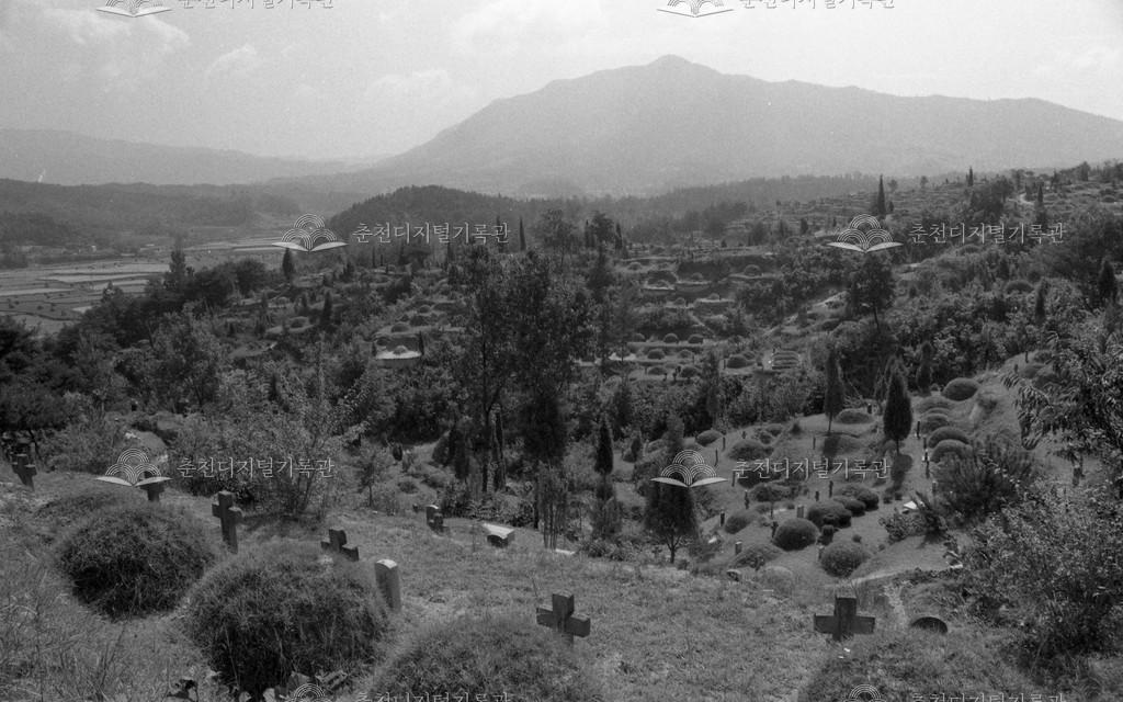 1980년대 천주교 묘역 이미지