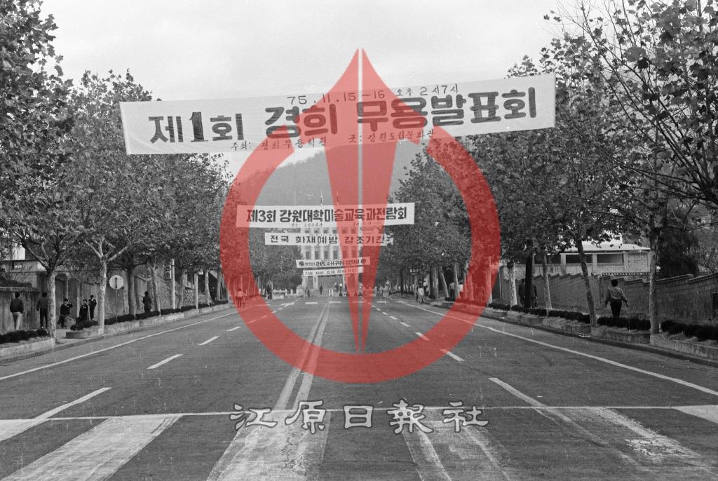 강원도청 진입도로 행사 현수막 이미지