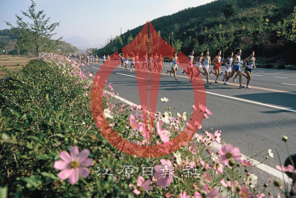 제66회 전국체육대회(전국체전) 20Km 단축마라톤대회 이미지