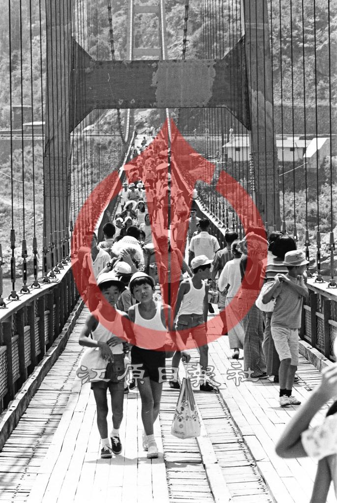 강촌리 등선교(출렁다리) 이미지