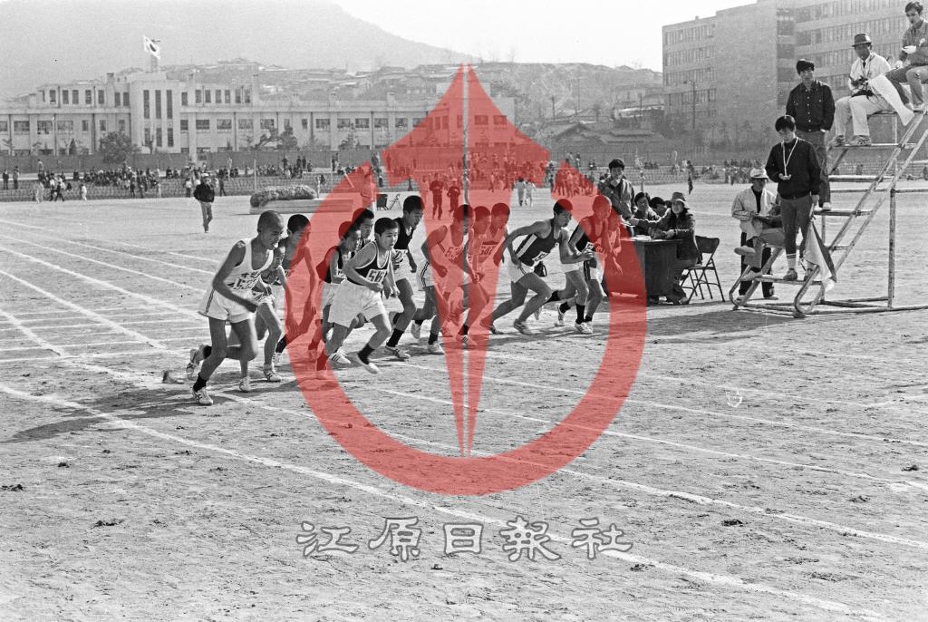 강원도 학년별 육상대회 이미지