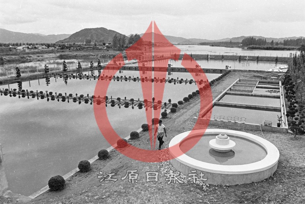 신동 육림양어장 전경 이미지