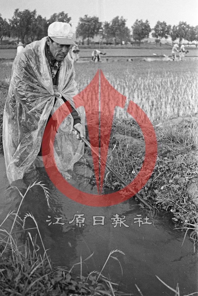 모내기 물관리 이미지